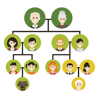 Family Tree Icon